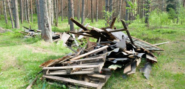 Debris Removal Service in Alexandria