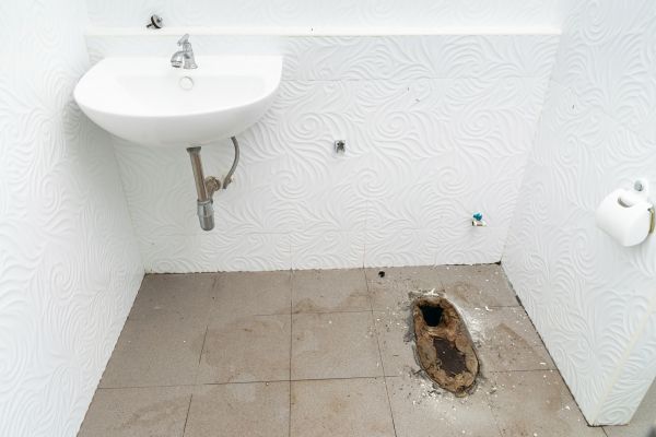 Toilet Disposal in Alexandria
